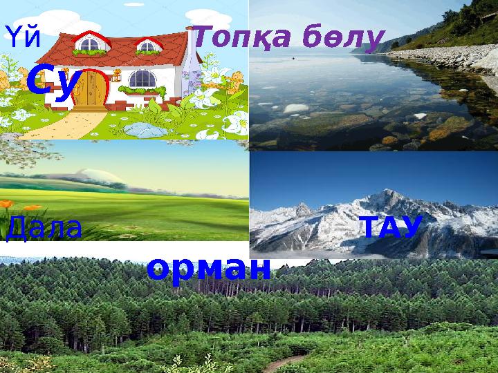 Үй Топқа бөлу Су Дала ТАУ орман