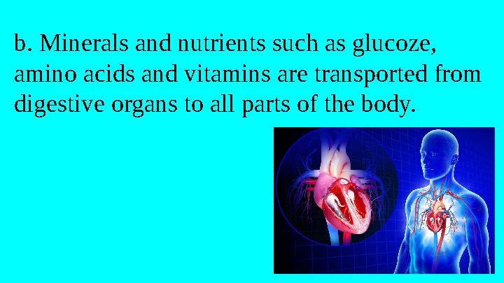 b. Minerals and nutrients such as glucoze, amino acids and vitamins are transported from digestive organs to all parts of the