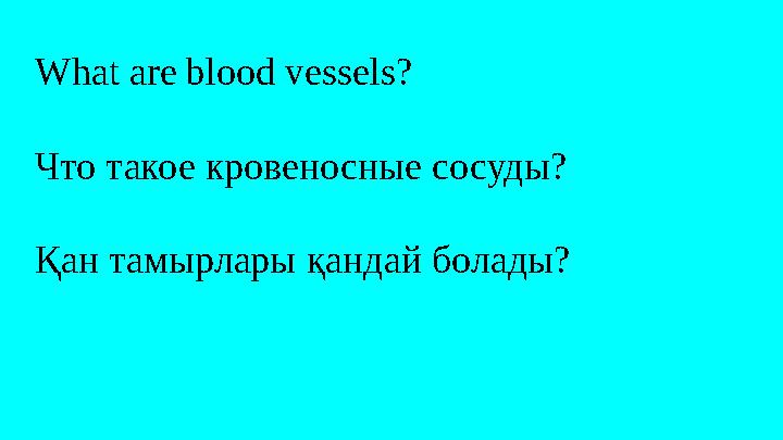 What are blood vessels? Что такое кровеносные сосуды? Қан тамырлары қандай болады?