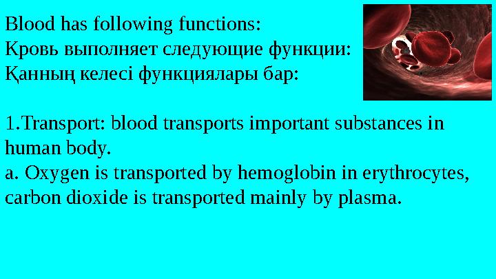 Blood has following functions: Кровь выполняет следующие функции: Қанның келесі функциялары бар: 1.Transport: blood transports