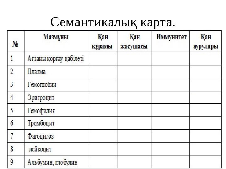 Семантикалық карта.