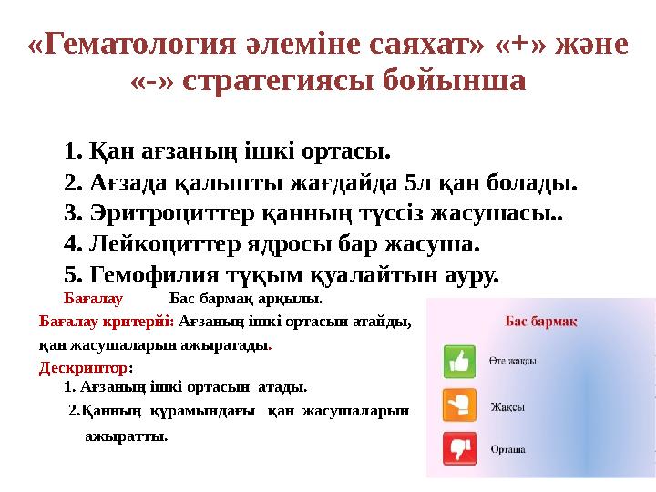 «Гематология әлеміне саяхат» «+» және «-» стратегиясы бойынша 1. Қан ағзаның ішкі ортасы. 2. Ағзада қалыпты жағдайда 5л қан
