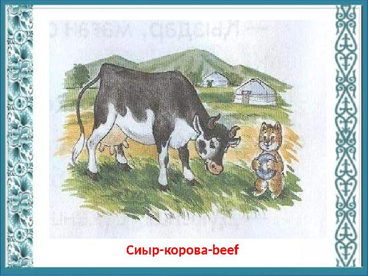 Сиыр-корова-beef