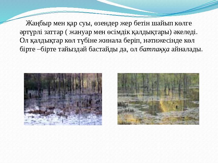 Жаңбыр мен қар суы, өзендер жер бетін шайып көлге әртүрлі заттар ( жануар мен өсімдік қалдықтары) әкеледі. Ол қалдықтар