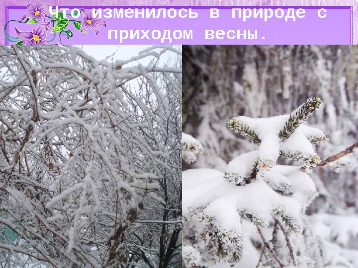 Что изменилось в природе с приходом весны.