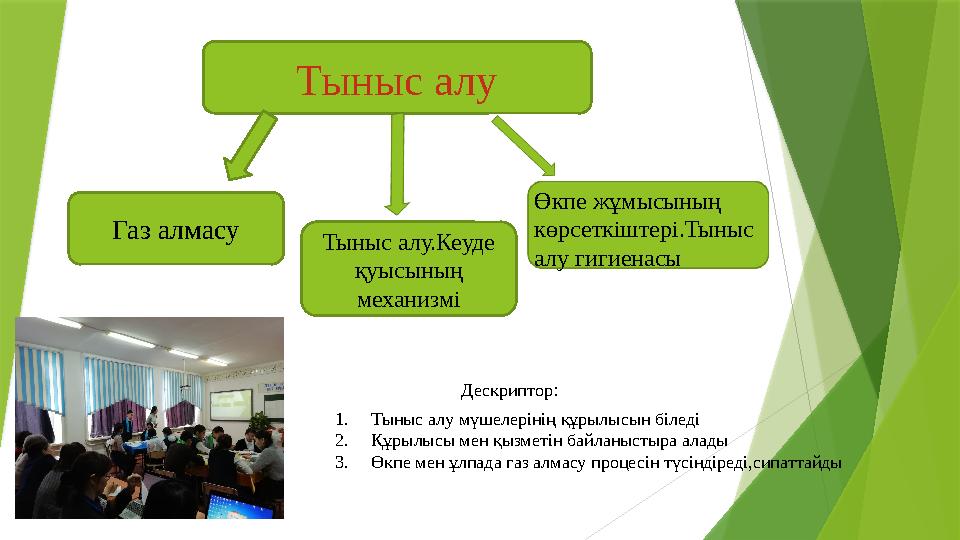 Тыныс алу Газ алмасу Тыныс алу.Кеуде қуысының механизмі Өкпе жұмысының көрсеткіштері.Тыныс алу гигиенасы 1.Т