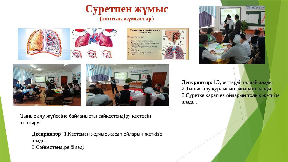 Суретпен жұмыс (топтық жұмыстар) Дескриптор:1Суреттерді талдай алады 2.Тыныс алу құрлысын ажырата алады 3.Суретк