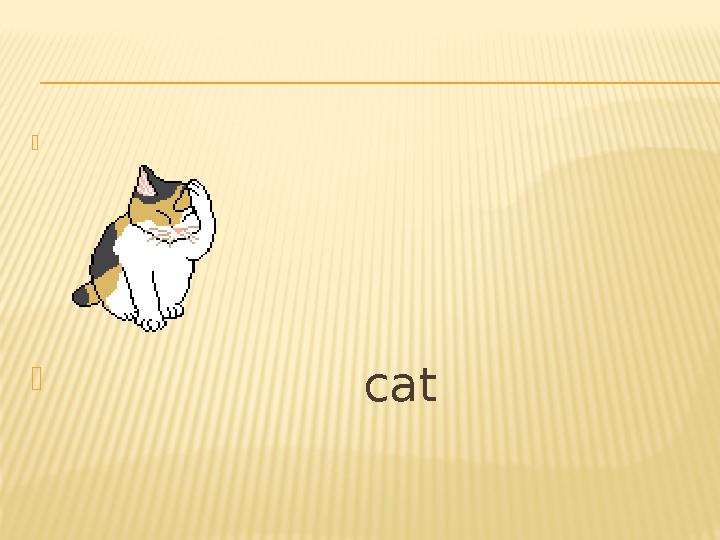   cat