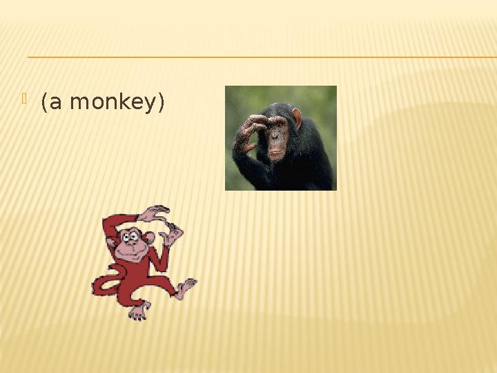 (a monkey)