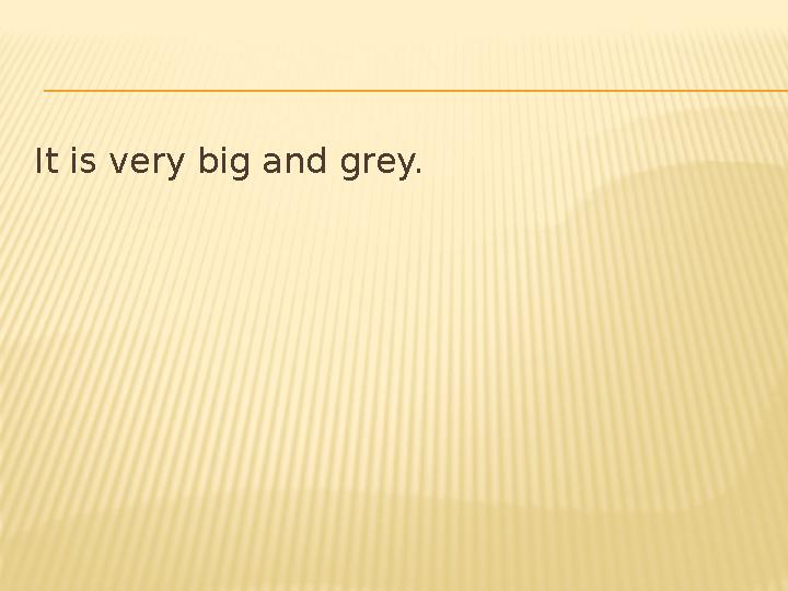 It is very big and grey.