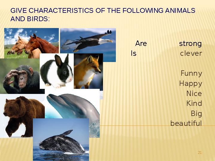 GIVE CHARACTERISTICS OF THE FOLLOWING ANIMALS AND BIRDS: Are strong Is clever