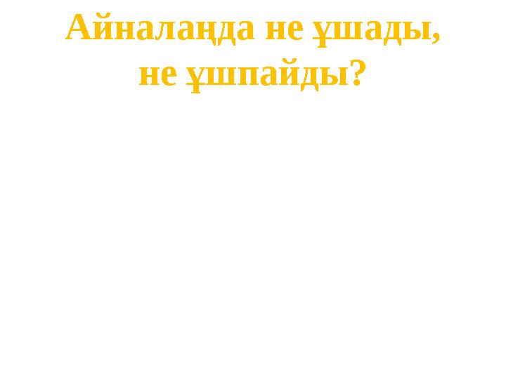 Айналаңда не ұшады, не ұшпайды?