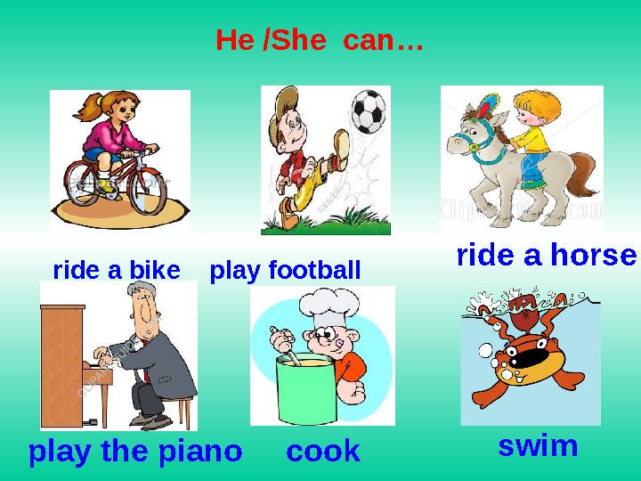 He /She can… ride a bike play football ride a horse play the piano cook swim
