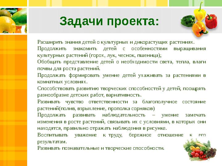 Text in here Text in here tin here Задачи проекта: Расширить знания детей о культурных и дикорастущих растениях. Продолжить зн