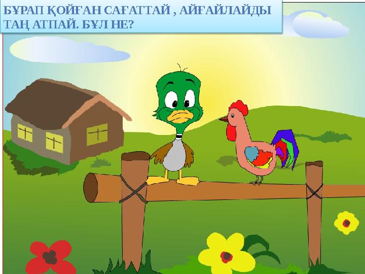 БҰРАП ҚОЙҒАН САҒАТТАЙ , АЙҒАЙЛАЙДЫ ТАҢ АТПАЙ. БҰЛ НЕ?