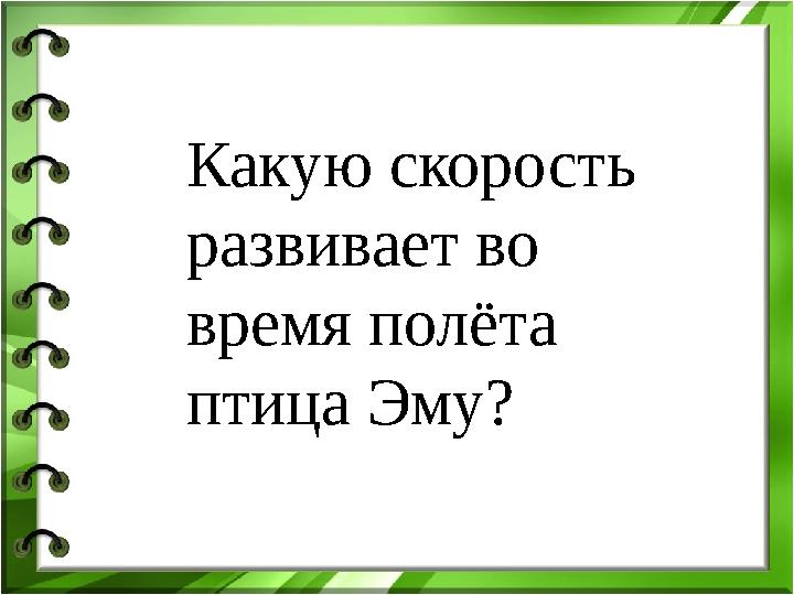 Какую скорость развивает во время полёта птица Эму?