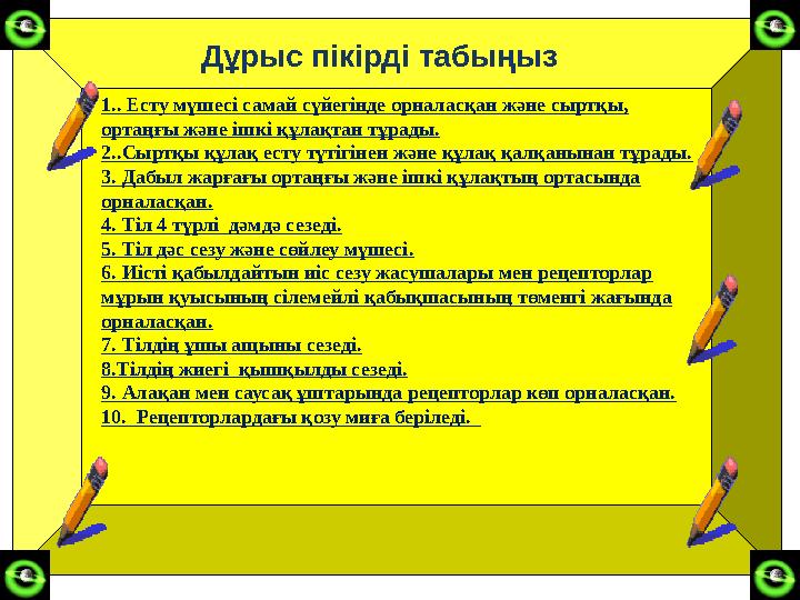 Дұрыс пікірді табыңыз 1.. Есту мүшесі самай сүйегінде орналасқан және сыртқы, ортаңғы және ішкі құлақтан тұрады. 2..Сы