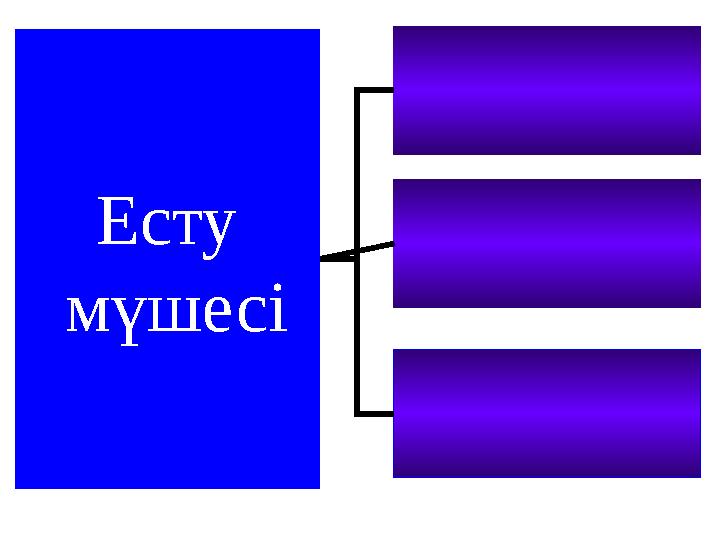Есту мүшесі
