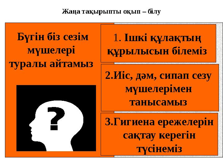 1. Ішкі құлақтың құрылысын білеміз 3.Гигиена ережелерін сақтау керегін түсінеміз 2.Иіс, дәм, сипап сезу мүшелерімен таныса