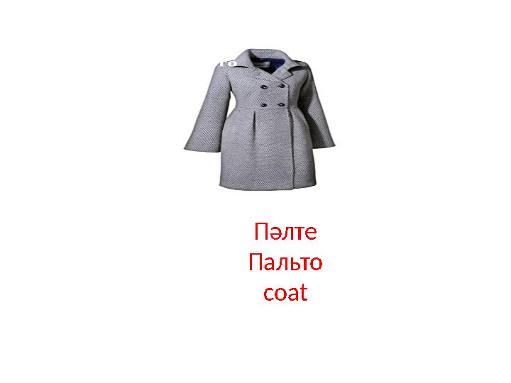 Пәлте Пальто coat