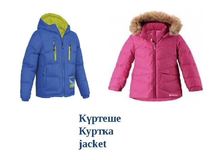 Күртеше Куртка jacket