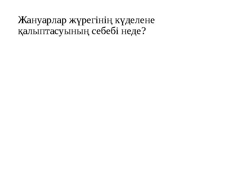 Жануарлар жүрегінің күделене қалыптасуының себебі неде?