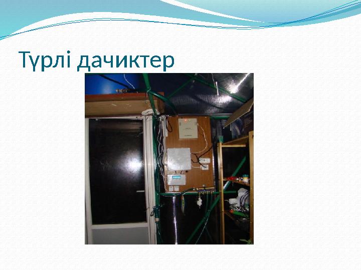 Түрлі дачиктер