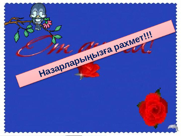 Назарларыңызға рахмет!!!