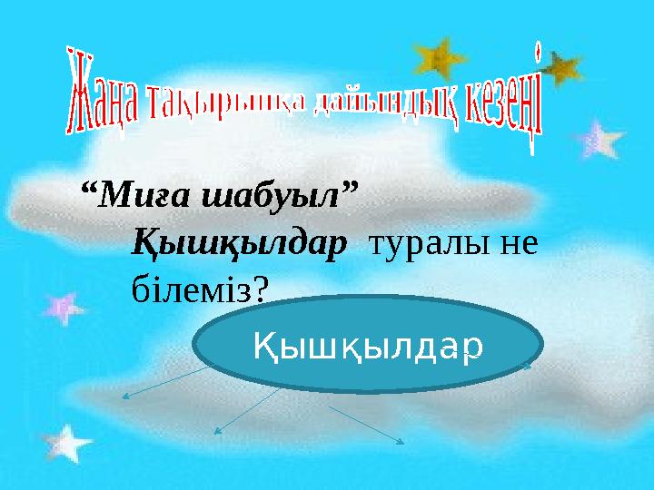 “Миға шабуыл” Қышқылдар туралы не білеміз? Қышқылдар