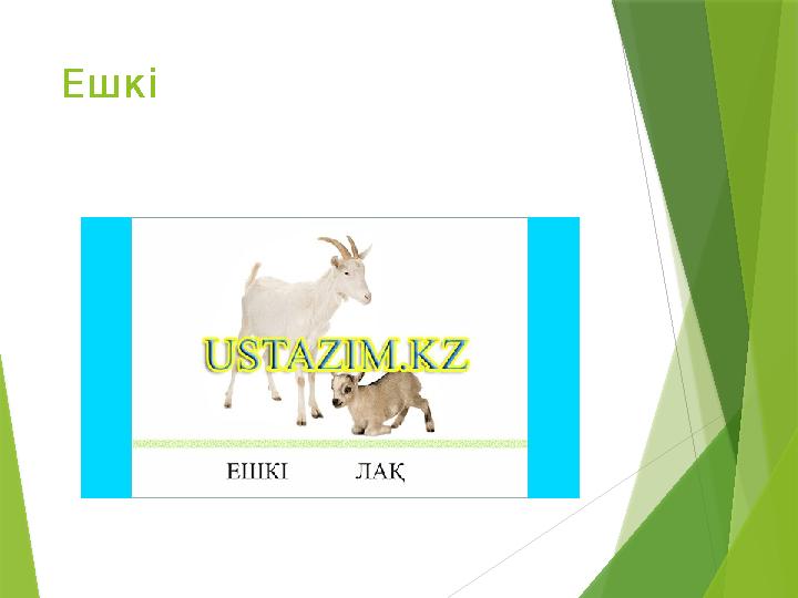 Ешкі