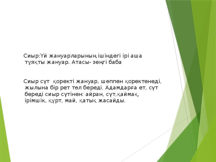 Сиыр:Үй жануарларының ішіндегі ірі аша тұяқты жануар. Атасы- зеңгі баба Сиыр сүт қоректі жануар, шөп