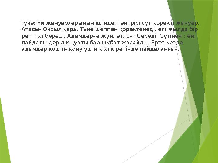 Түйе: Үй жануарларының ішіндегі ең ірісі сүт қоректі жануар. Атасы- Ойсыл қара. Түйе шөппен қоректенеді, екі