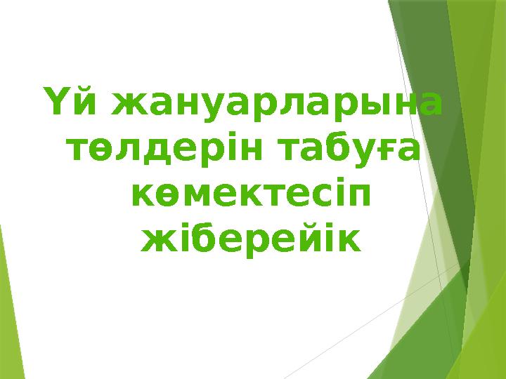 Үй жануарларына төлдерін табуға көмектесіп жіберейік