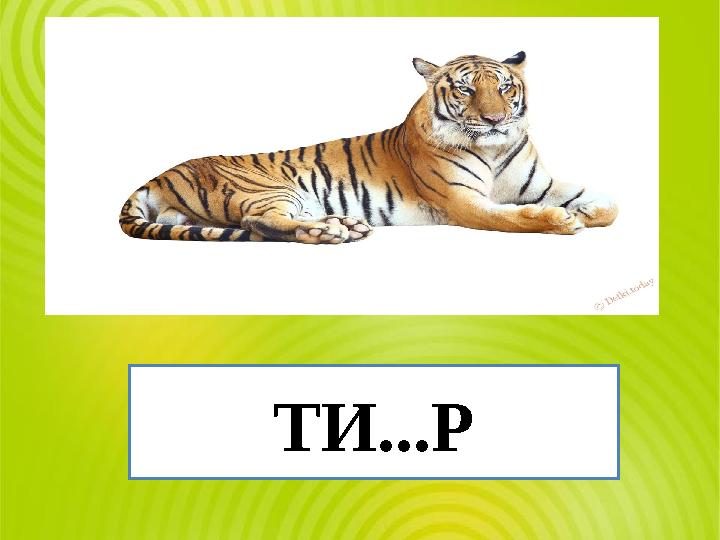 ТИ...Р