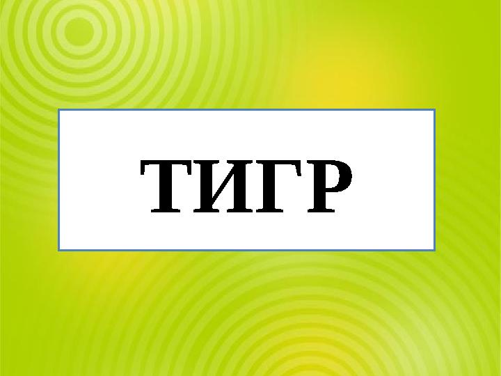 ТИГР