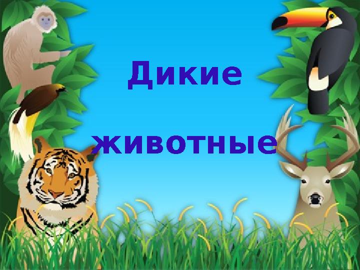 Дикие животные