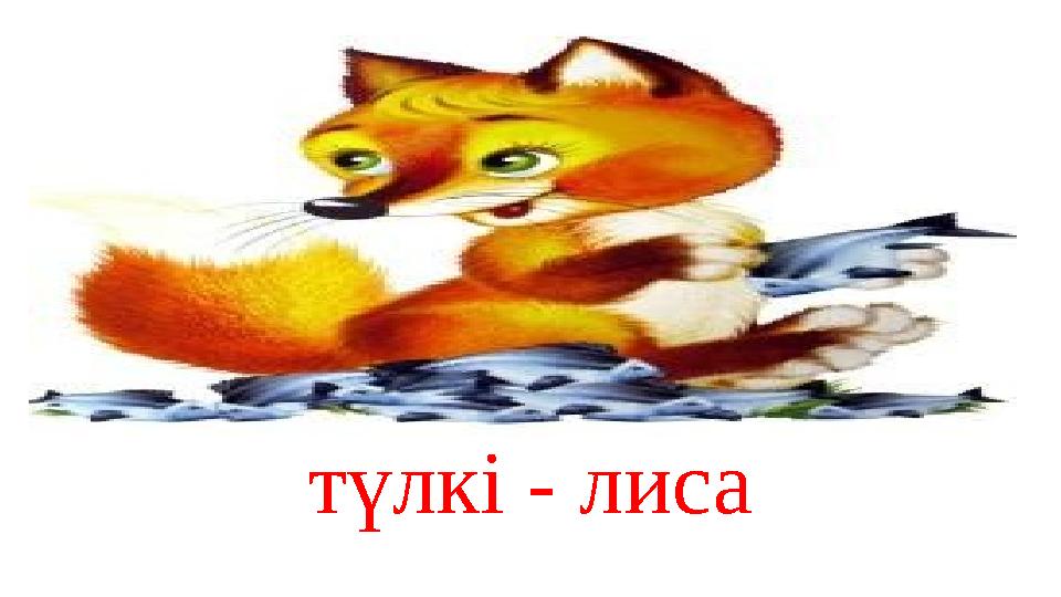 түлкі - лиса