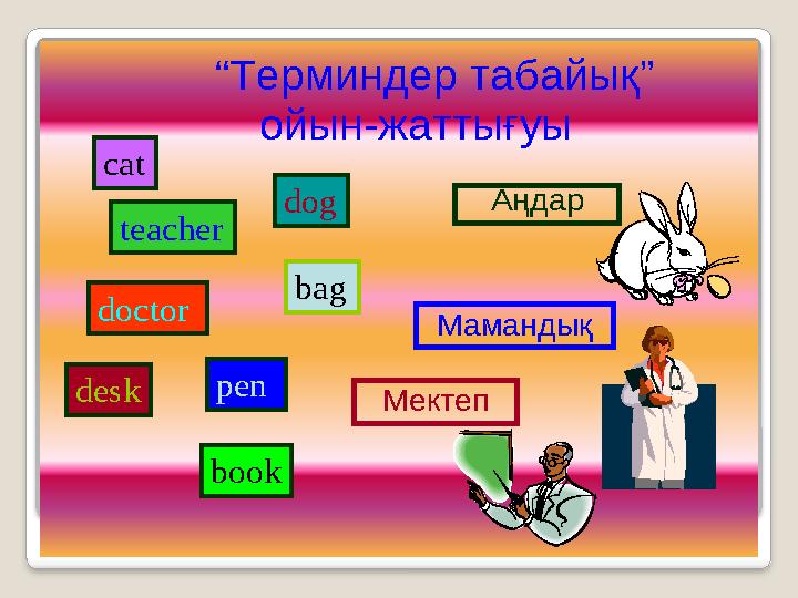 “Терминдертабайық” ойын-жаттығуы cat teacher doctor desk dog bag рen book Аңдар Мамандық Мектеп