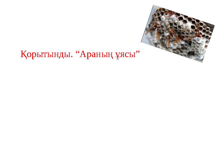 Қорытынды. “Араның ұясы”