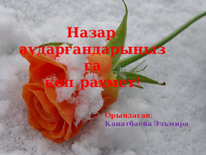 Лена Бушина Инстаграмдағы порно онлайн