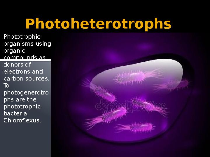 Photoheterotrophs Phototrophic organisms using organic compounds as donors of electrons and carbon sources. To photogene