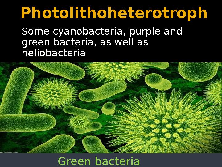 Photolithoheterotroph Some cyanobacteria, purple and green bacteria, as well as heliobacteria Green bacteria