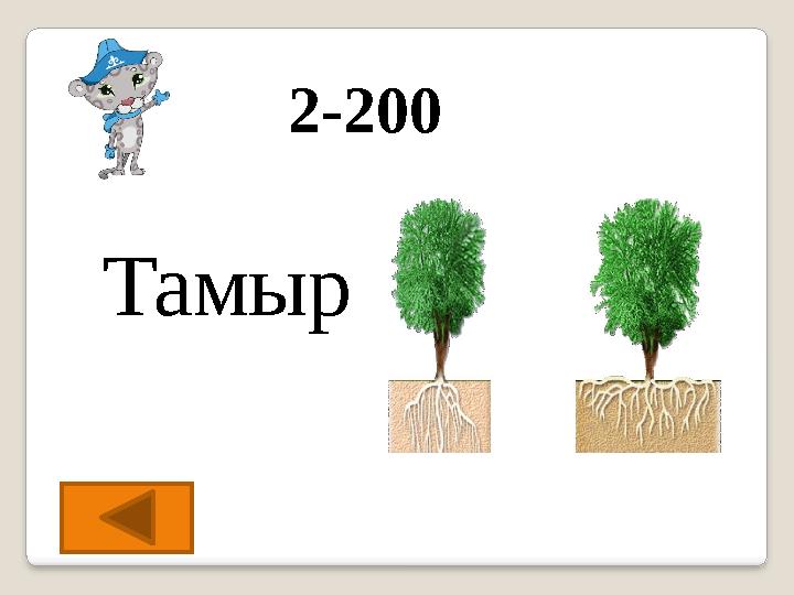 2-200 Тамыр