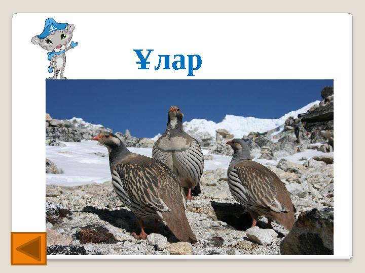 Ұлар