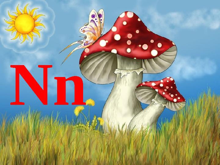 Nn