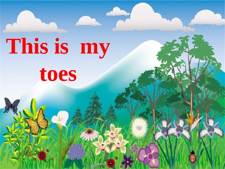 This is my toes