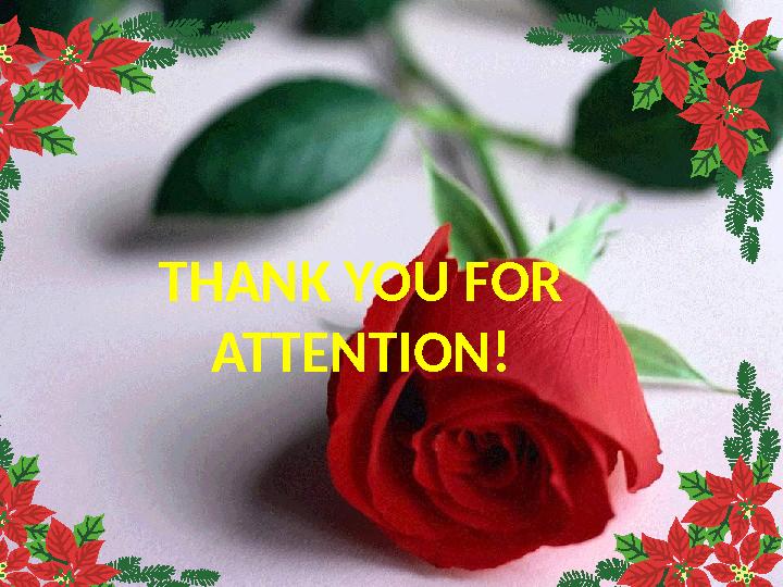 THANK YOU FOR ATTENTION!