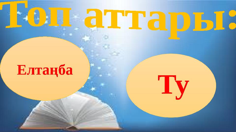 Елтаңба Ту