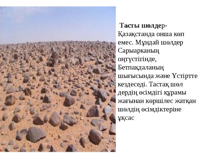 Тасты шөлдер- Қазақстанда онша көп емес. Мұндай шөлдер Сарыарканың оңтүстігінде, Бетпақдаланың шығысында және Үстіртте ке Тасты шөлдер- Қазақстанда онша көп емес. Мұндай шөлдер Сарыарканың оңтүстігінде, Бетпақдаланың шығысында және Үстіртте ке