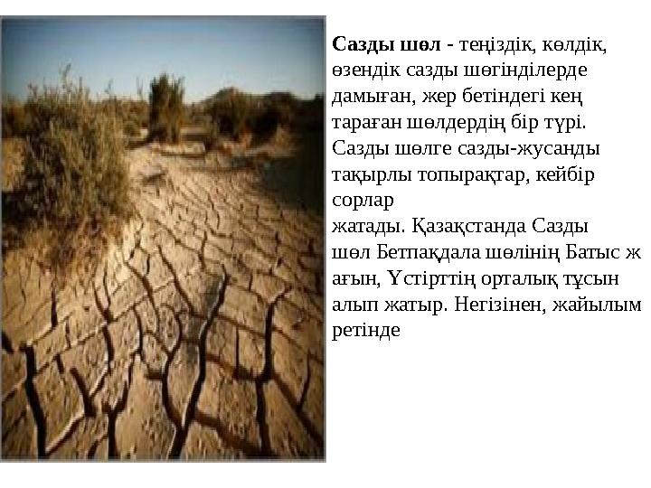 Сазды шөл - теңіздік, көлдік, өзендік сазды шөгінділерде дамыған, жер бетіндегі кең тараған шөлдердің бір түрі. Сазды шөлге Сазды шөл - теңіздік, көлдік, өзендік сазды шөгінділерде дамыған, жер бетіндегі кең тараған шөлдердің бір түрі. Сазды шөлге